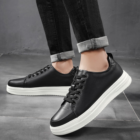 ORBIT - 2.4 pulg. (6CM)